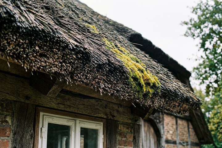 Haus Meinsbur in Bendestorf